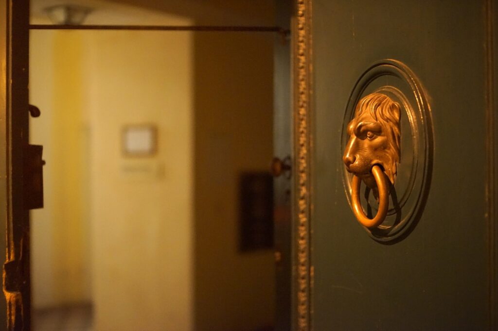 Lion Locksmith Doors